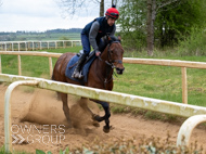 BP140425-40 - Squire Danagher (red hat)